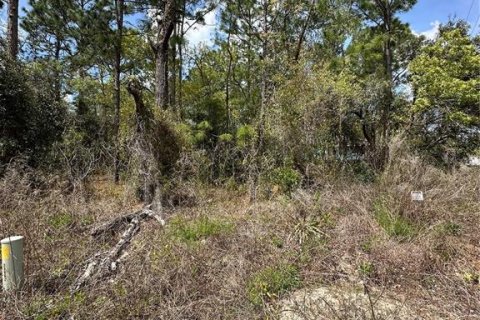 Land in Homosassa, Florida № 2165529 - photo 4