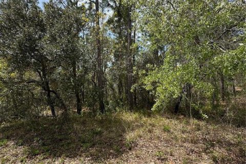 Land in Homosassa, Florida № 2165529 - photo 9