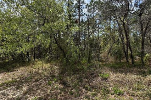 Land in Homosassa, Florida № 2165529 - photo 6