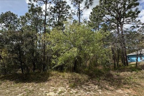 Land in Homosassa, Florida № 2165529