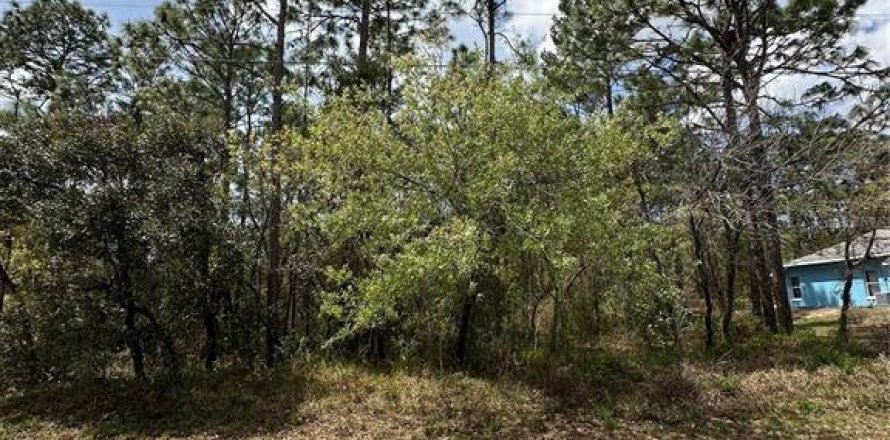 Land in Homosassa, Florida № 2165529