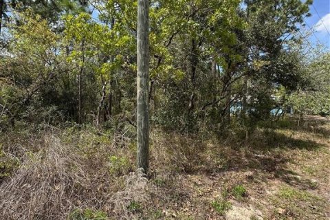 Land in Homosassa, Florida № 2165529 - photo 3