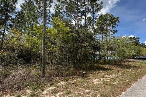 Land in Homosassa, Florida № 2165529 - photo 7