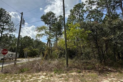 Land in Homosassa, Florida № 2165529 - photo 5