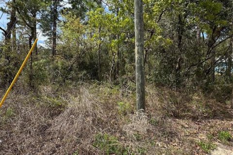 Land in Homosassa, Florida № 2165529 - photo 8
