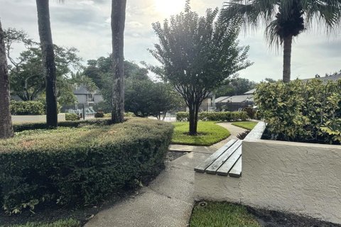 Copropriété à louer à Clearwater, Floride: 1 chambre, 78.97 m2 № 2410160 - photo 21