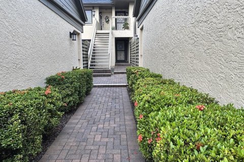 Copropriété à louer à Clearwater, Floride: 1 chambre, 78.97 m2 № 2410160 - photo 2