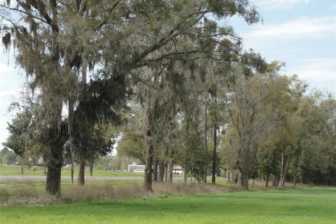Terrain à vendre à Alachua, Floride № 2125741 - photo 4