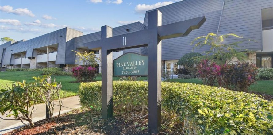 Condo in Palm Harbor, Florida, 2 bedrooms  № 1549436