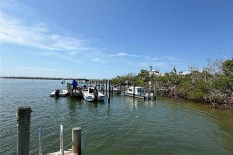 Land in Placida, Florida № 1852986 - photo 28