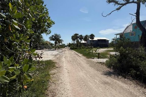 Land in Placida, Florida № 1852986 - photo 20