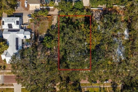 House in Dunedin, Florida 2 bedrooms, 98.66 sq.m. № 1734594 - photo 17