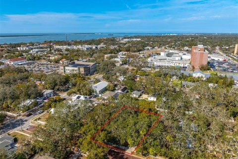 Villa ou maison à vendre à Dunedin, Floride: 2 chambres, 98.66 m2 № 1734594 - photo 7