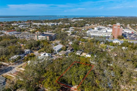 Villa ou maison à vendre à Dunedin, Floride: 2 chambres, 98.66 m2 № 1734594 - photo 28