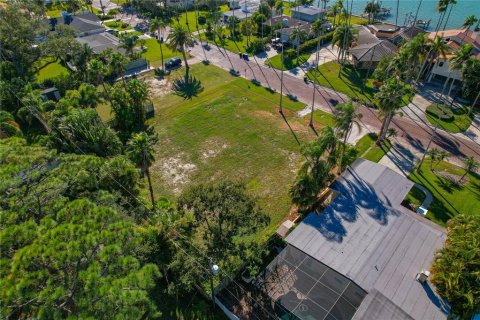 Land in Dunedin, Florida № 2165906 - photo 16