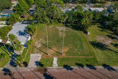 Land in Dunedin, Florida № 2165906 - photo 11