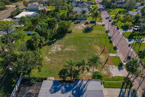 Land in Dunedin, Florida № 2165906 - photo 17
