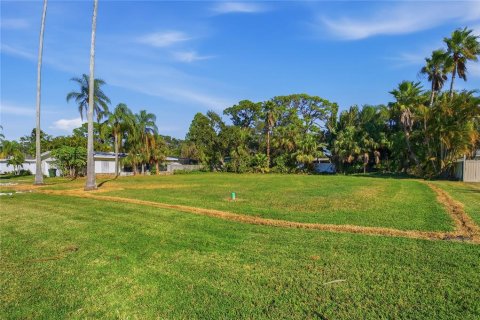 Land in Dunedin, Florida № 2165906 - photo 23