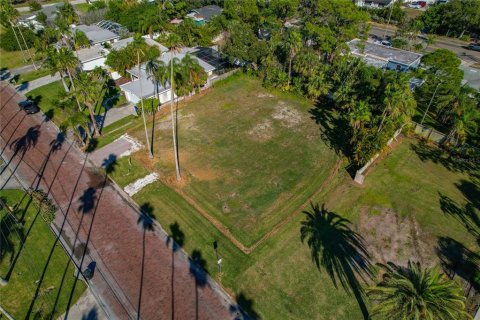 Land in Dunedin, Florida № 2165906 - photo 12