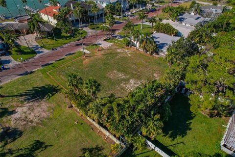 Land in Dunedin, Florida № 2165906 - photo 14