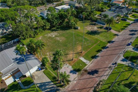 Land in Dunedin, Florida № 2165906 - photo 18