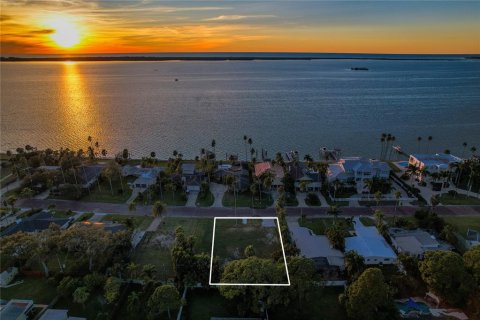 Land in Dunedin, Florida № 2165906 - photo 2