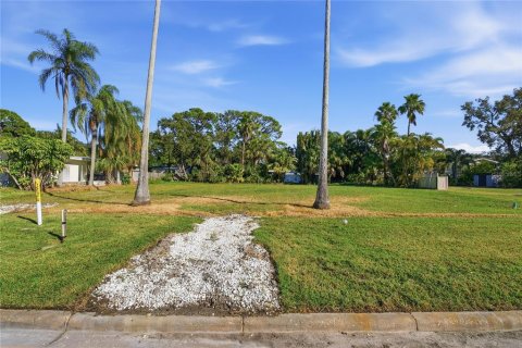 Land in Dunedin, Florida № 2165906 - photo 20