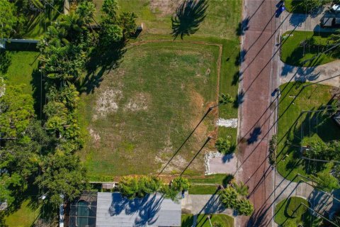 Land in Dunedin, Florida № 2165906 - photo 19