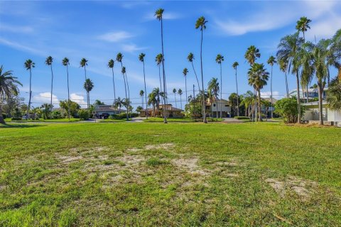 Land in Dunedin, Florida № 2165906 - photo 25