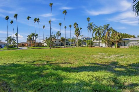 Land in Dunedin, Florida № 2165906 - photo 24
