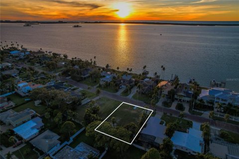 Land in Dunedin, Florida № 2165906 - photo 4
