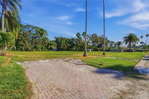 Land in Dunedin, Florida № 2165906 - photo 22