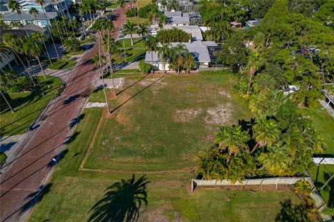 Land in Dunedin, Florida № 2165906 - photo 13