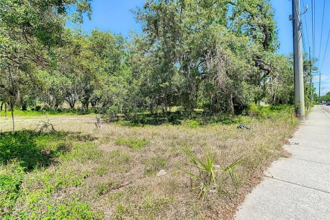 Land in Tampa, Florida № 1198512 - photo 14