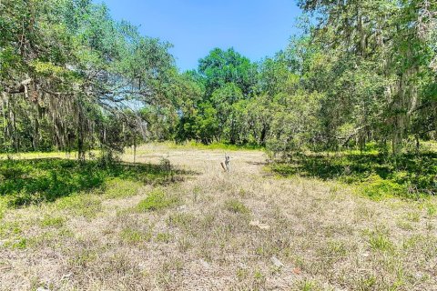 Land in Tampa, Florida № 1198512 - photo 2