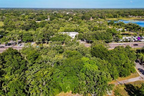 Land in Tampa, Florida № 1198512 - photo 9
