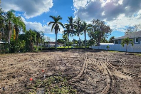 Terrain à Bradenton, Floride № 2391041