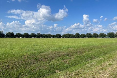 Terreno en venta en Ocala, Florida № 1592345 - foto 4