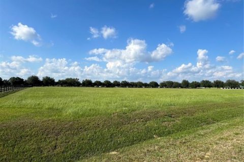 Terreno en venta en Ocala, Florida № 1592345 - foto 1