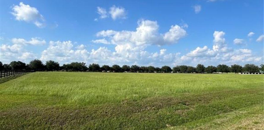 Terreno en Ocala, Florida № 1592345