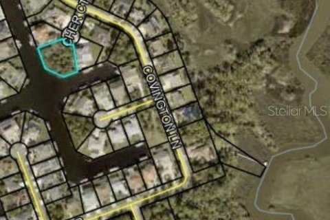Terreno en Palm Coast, Florida № 2097651