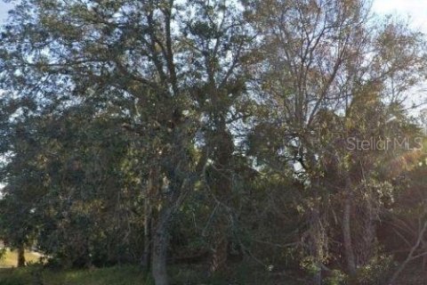 Terreno en venta en Palm Coast, Florida № 2097651 - foto 3