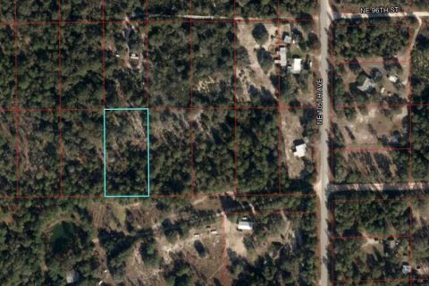 Land in Bronson, Florida № 2158825 - photo 2