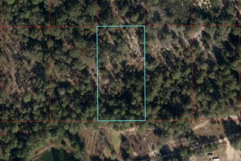 Land in Bronson, Florida № 2158825