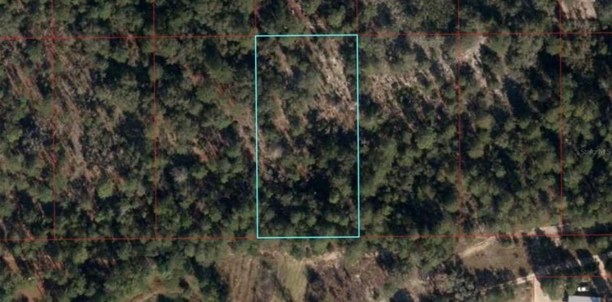 Land in Bronson, Florida № 2158825
