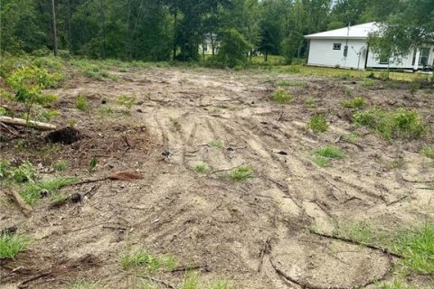 Купить виллу или дом в Уиллистон, Флорида 3 комнаты, 128.21м2, № 1807390 - фото 3