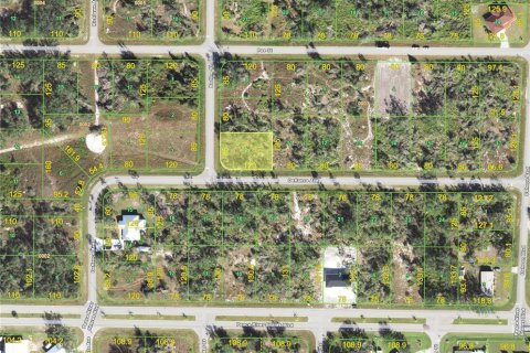 Terrain à Punta Gorda, Floride № 2161022