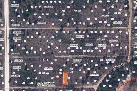 Land in Interlachen, Florida № 2223871 - photo 2