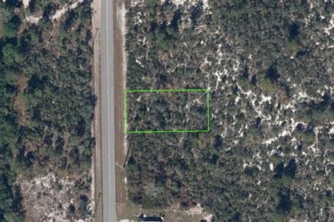 Land in Lake Placid, Florida № 2223889 - photo 2