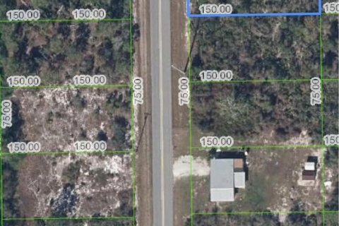 Land in Lake Placid, Florida № 2223889